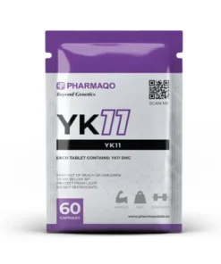 YK11